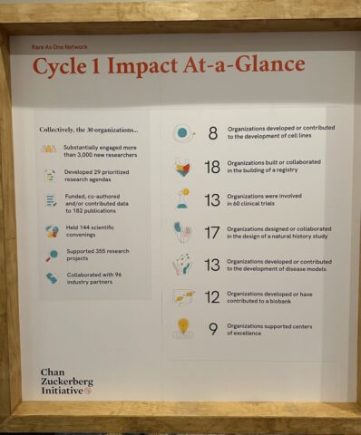 Impact At A Glance