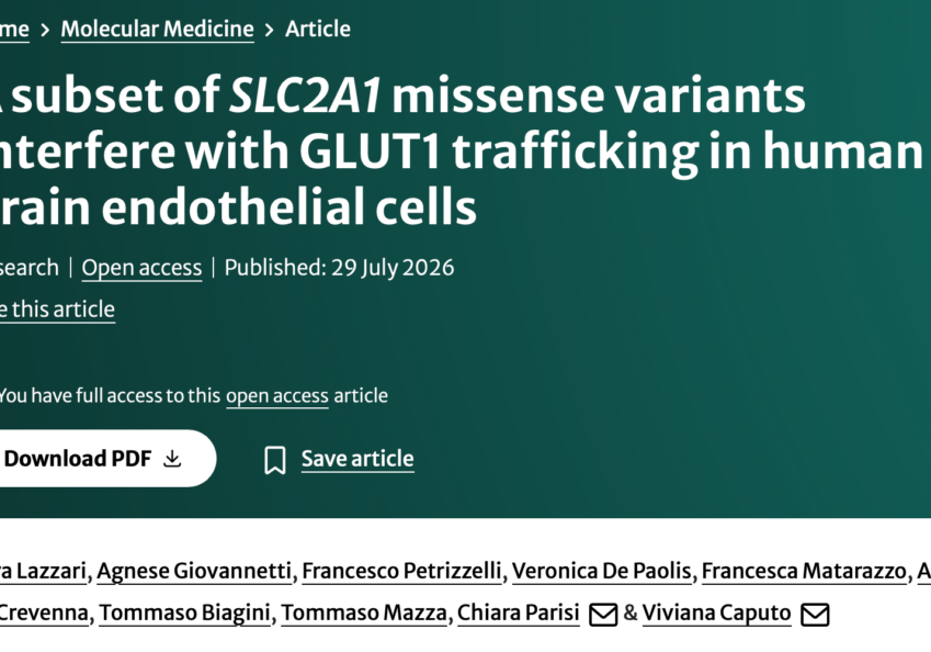 Monosnap A subset of SLC2A1 missense variants interfere with GLUT1 trafficking in human brain endothelial cells | Molecular Medicine | S… 2026-09-09 21-45-43