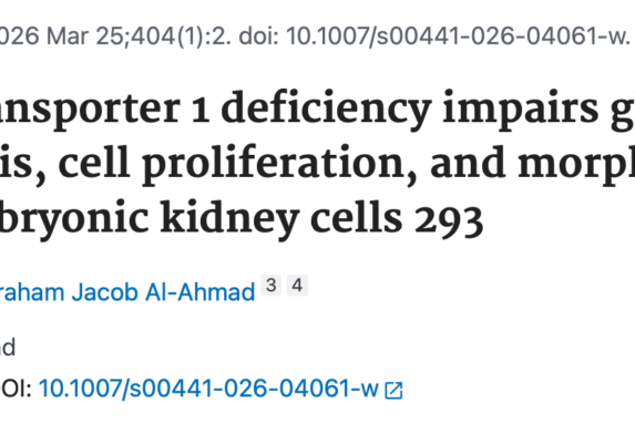 Monosnap Glucose transporter 1 deficiency impairs glucose homeostasis, cell proliferation, and morphology in human embryonic kidney cell… 2026-05-07 21-47-30